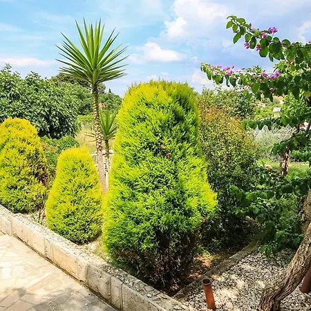 By The Sea Trpanj, Peljesac - 16004 Apartament Trpanj